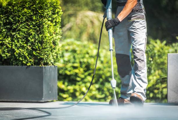  Western Springs, IL Pressure Washing Pros